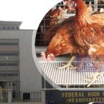 Man accused of stealing 25 chickens granted bail