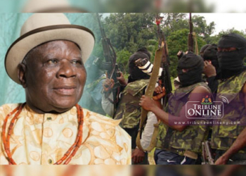 Don't resume hostilities in Niger Delta, PANDEF begs militants
