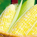 Firm partners 253 small agribusinesses to process package vitamin A