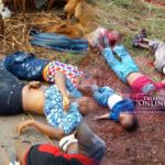 19 die in Edo road accident