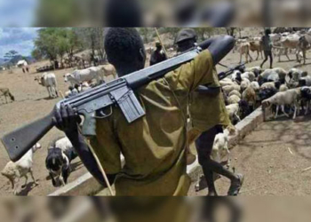 Suspected herdsmen kill 27 , Suspected armed herdsmen kill six in Taraba, Gunmen demand N100m Suspected herdsmen hack two, Herdsmen kidnap seven persons, Suspected herdsmen, Fulani herdsmen attack, Delta