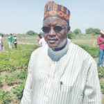 How PBR cowpea can increase yield, reduce money spent on cultivation
