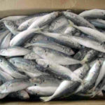 FG inaugurates fish processing centre in Akwa-Ibom, Stakeholders advocate total ban on fish importation
