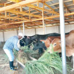 anti-grazing