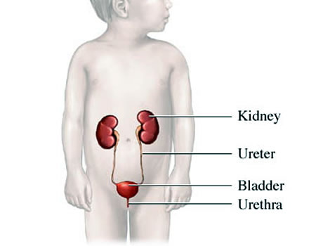Children, urinary difficulties