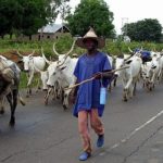 Herdsmen,fulani