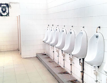 Toilet