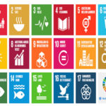 undp
