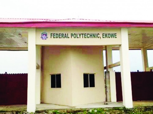 ekowe poly