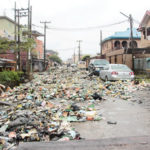 ,Nigerians ,Environmentalist, waste management,