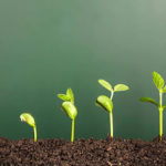 growth