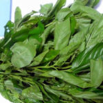 ewedu