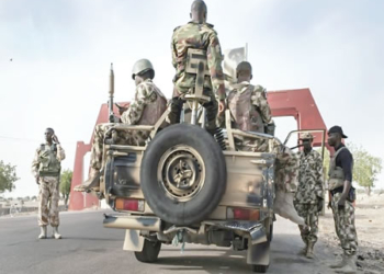 NMDPRA Nigerian Army, troops