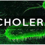 things to do when you suspect Cholera, Causes of cholera, NCDC recorded 4,153 Cholera cases, 80 deaths in September, Cholera: Kebbi epidemic rapid, Cholera