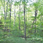 forest activities, Ogun State, forest reserves,