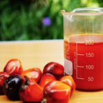 palm oil