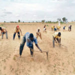 youths APPEALS farmers farmer AFANv Stakeholders, NSPRI