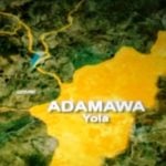 Man allegedly dies in police custody, Adamawa, Adamawa records 197