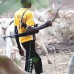 Suspected herders kill five, herdsmen, herders invade Akala's farm, suspected herders kill 11 , herders attack Enugu commuities, herders kill three in Benue, Tension as herdsmen invade Edo community, herdsmen attack Taraba community, Suspected herdsmen invade farms, Ogoni Elders cry out, Suspected herdsmen kill man, Herdsmen allegedly abduct four, Suspected herdsmen kill five, Suspected herdmen kill three, Suspected herdsmen kill four , Four killed, Kogi Miyetti Allah chairman, Over 50 armed herdsmen, Suspected herdsmen machete , Miyetti Allah tells members, Suspected herdsmen hack two, Herdsmen storm forest reserve, Herdsmen attacks, herdsmen, Suspected herdsmen