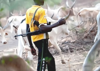 Suspected herders kill five, herdsmen, herders invade Akala's farm, suspected herders kill 11 , herders attack Enugu commuities, herders kill three in Benue, Tension as herdsmen invade Edo community, herdsmen attack Taraba community, Suspected herdsmen invade farms, Ogoni Elders cry out, Suspected herdsmen kill man, Herdsmen allegedly abduct four, Suspected herdsmen kill five, Suspected herdmen kill three, Suspected herdsmen kill four , Four killed, Kogi Miyetti Allah chairman, Over 50 armed herdsmen, Suspected herdsmen machete , Miyetti Allah tells members, Suspected herdsmen hack two, Herdsmen storm forest reserve, Herdsmen attacks, herdsmen, Suspected herdsmen