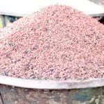 Sorghum