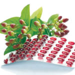 Scientists validate herbs that increase effectiveness of malaria drug