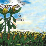 food security