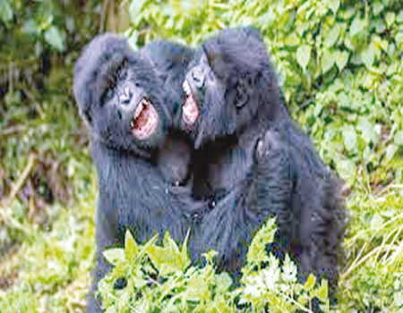 Rwanda
