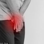 Prostate. PHOTO: Shutterstock, lower prostate cancer