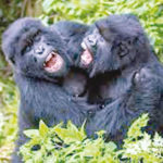 Rwanda