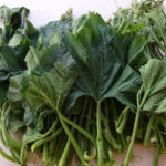 Ugwu, red blood, Herbs may boost blood production