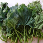 Ugwu