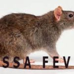 Lassa fever,
