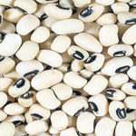 Food security: GM maize