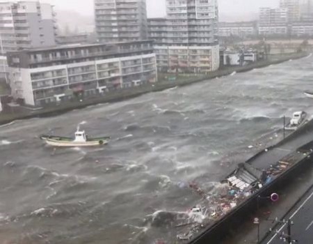 Typhoon
