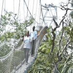 Lekki Conservation Centre