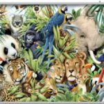 Animals