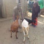 Beneficiaries