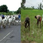 Herders, Farmers, FADAMA