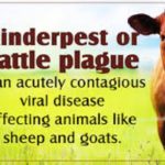 Disease