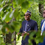 fashola-buhari, Buhari, Fashola clinch award for boosting road infrastructure