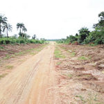 Road