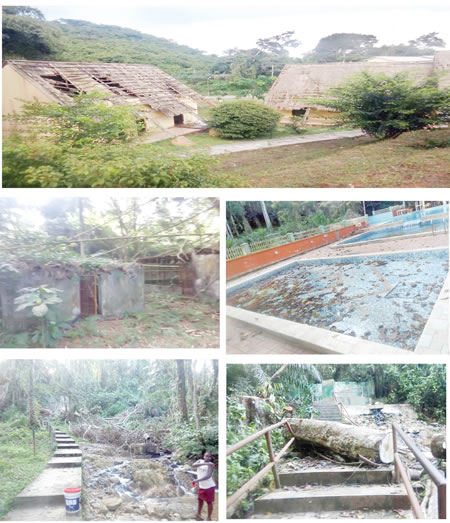 Ikogosi