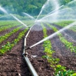 How South-West farmers can key into low-cost irrigation farming youths, farming