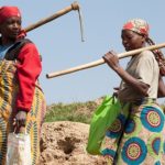 Women farmers in Kano
