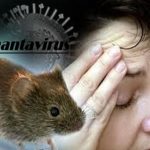 Hantavirus