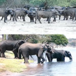 nature tourism