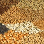 seeds, borders, 15 licenced seeds inspectors in Kogi