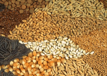 seeds, borders, 15 licenced seeds inspectors in Kogi