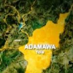 women, mahia, adamawa, arrest